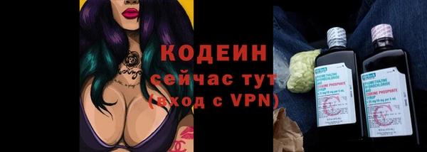 прущий лед Арсеньев