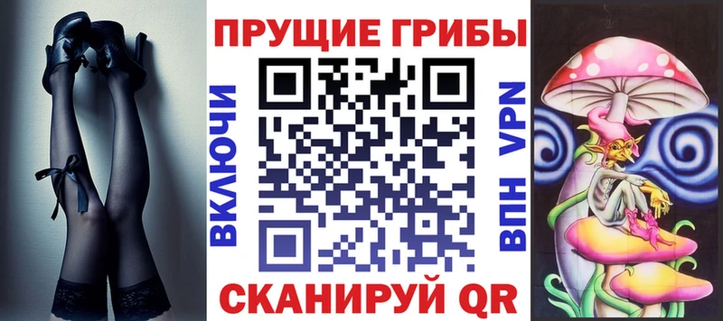 Галлюциногенные грибы Psilocybe  Аркадак 